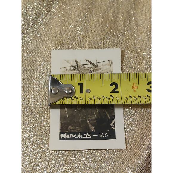 Vintage Photo 1920s Florida Alligators Gators Park Zoo Basking Sunning - Picture 7 of 8